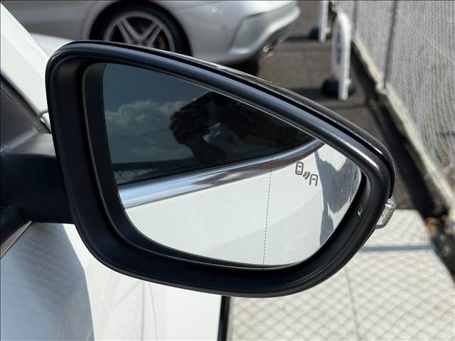 VOLKSWAGEN VOLKSWAGEN The BEETLE 2019