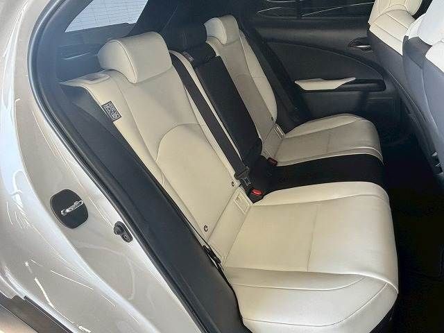 TOYOTA LEXUS UX250h AWD 2020