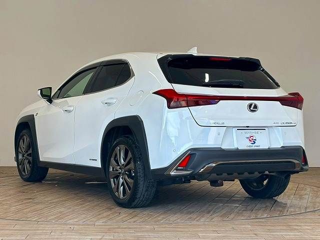 TOYOTA LEXUS UX250h AWD 2020