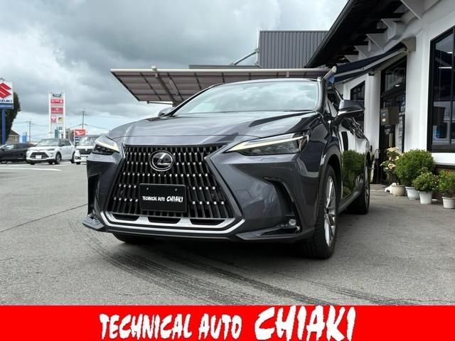 TOYOTA LEXUS NX250 2023