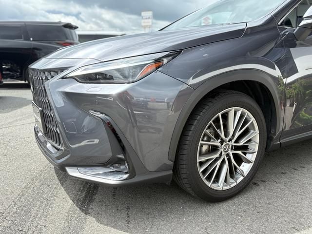 TOYOTA LEXUS NX250 2023