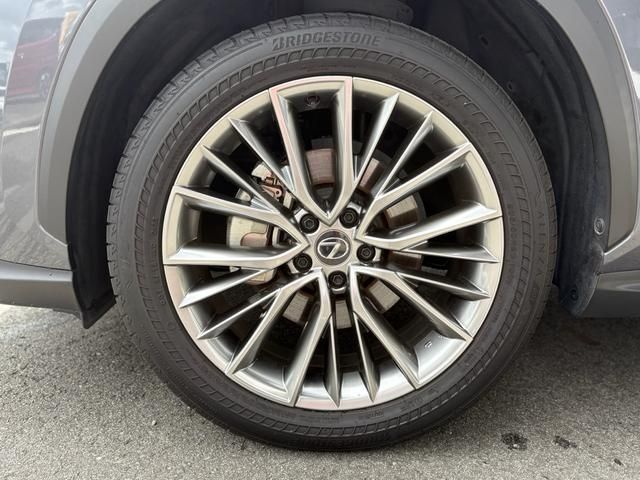 TOYOTA LEXUS NX250 2023