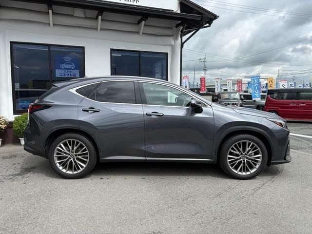 TOYOTA LEXUS NX250 2023