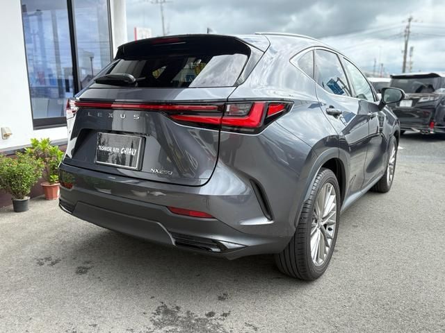 TOYOTA LEXUS NX250 2023