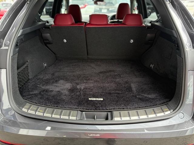 TOYOTA LEXUS NX250 2023