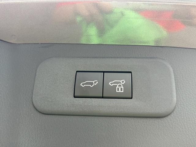 TOYOTA LEXUS NX250 2023