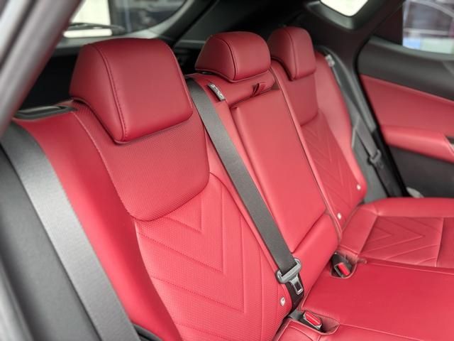 TOYOTA LEXUS NX250 2023