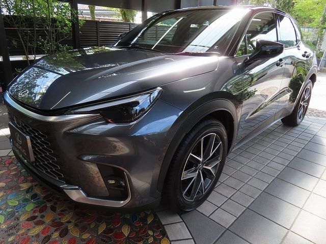 TOYOTA LEXUS LBX 2024