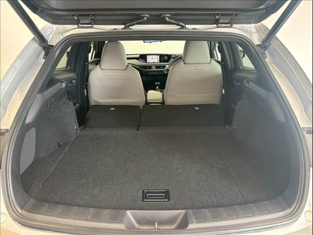 TOYOTA LEXUS UX250h 2019