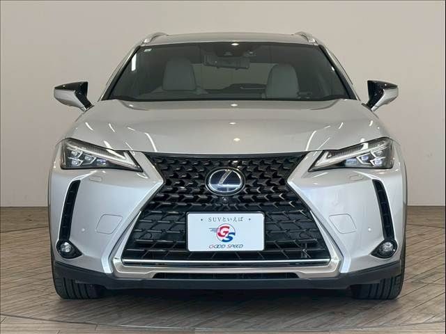 TOYOTA LEXUS UX250h 2019