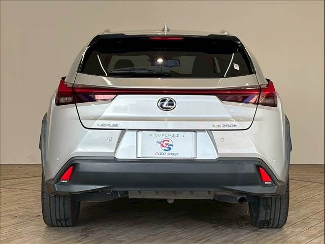 TOYOTA LEXUS UX250h 2019