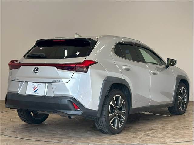TOYOTA LEXUS UX250h 2019