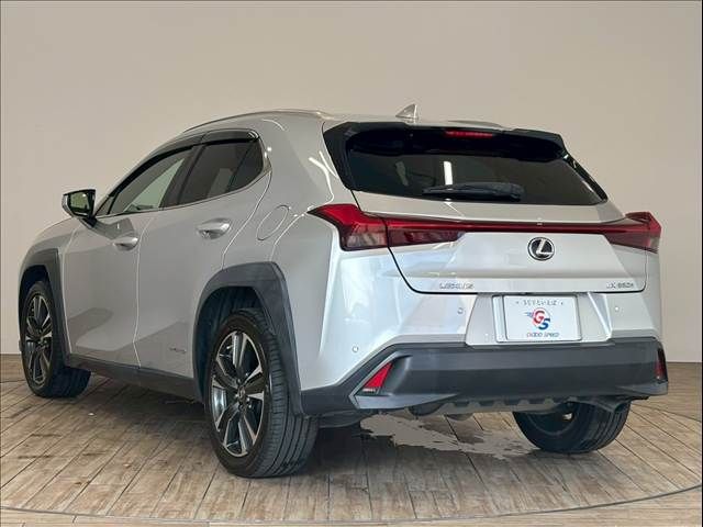 TOYOTA LEXUS UX250h 2019