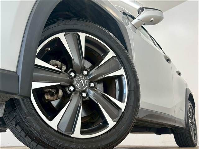 TOYOTA LEXUS UX250h 2019