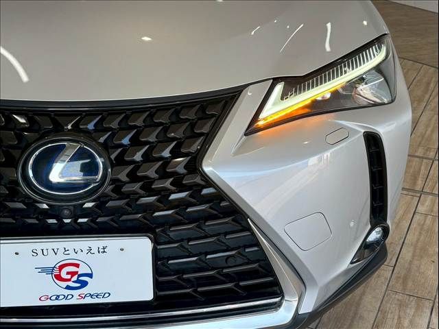 TOYOTA LEXUS UX250h 2019