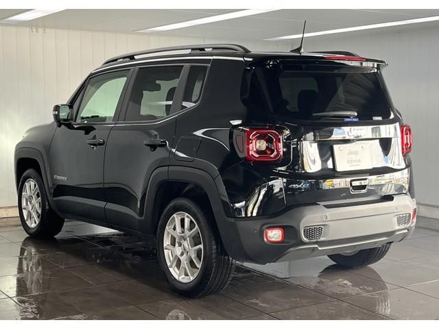 JEEP JEEP Renegade 2024