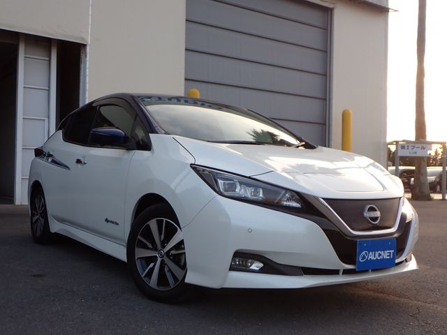 NISSAN LEAF 2019