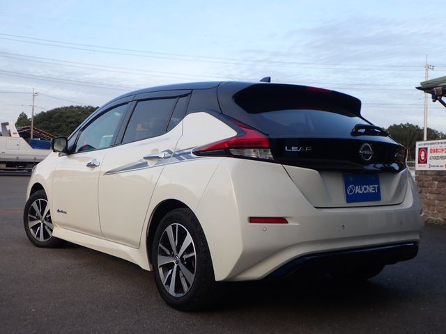 NISSAN LEAF 2019