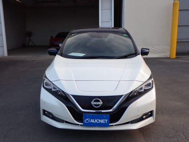 NISSAN LEAF 2019