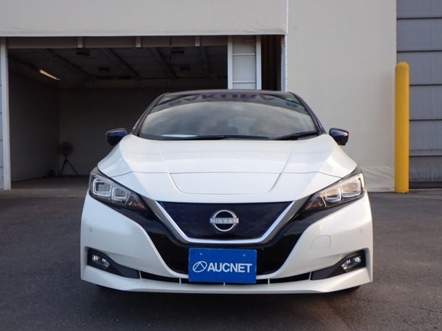 NISSAN LEAF 2019