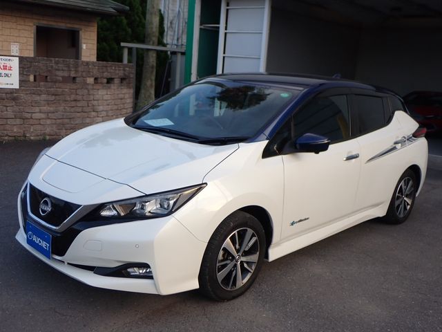 NISSAN LEAF 2019
