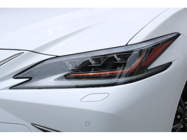 TOYOTA LEXUS ES300h 2021