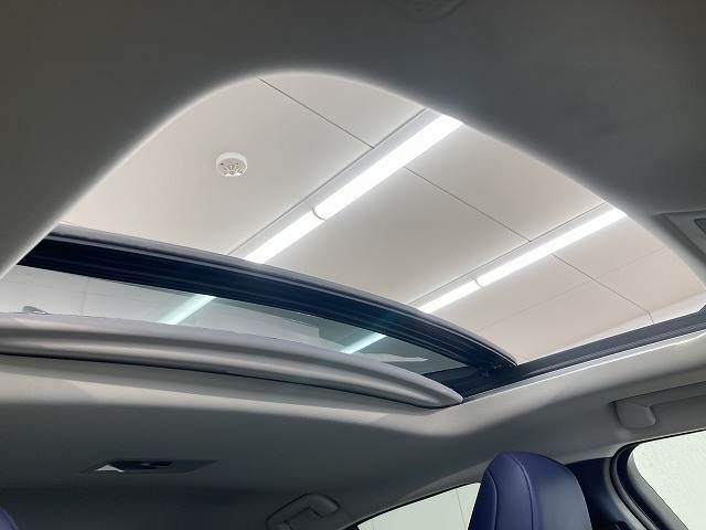 TOYOTA LEXUS UX300e 2021