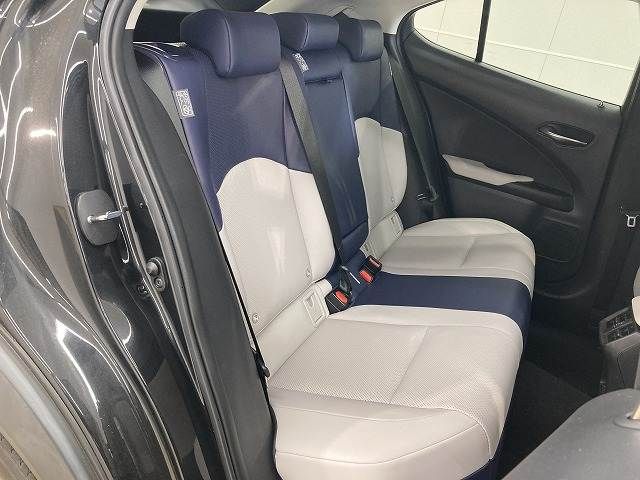 TOYOTA LEXUS UX300e 2021