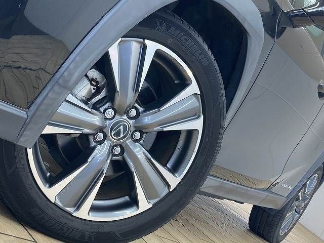 TOYOTA LEXUS UX300e 2021