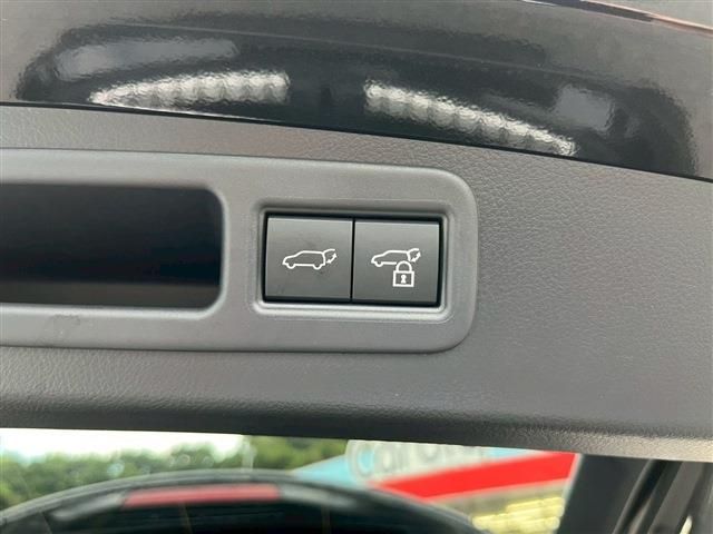 TOYOTA LEXUS RX500h 2023