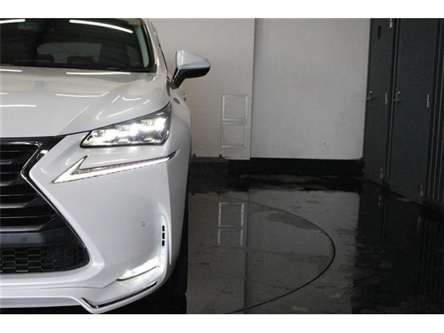 TOYOTA LEXUS NX300h AWD 2014