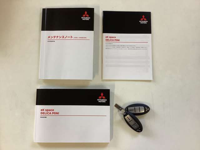 MITSUBISHI DELICA MINI 2025