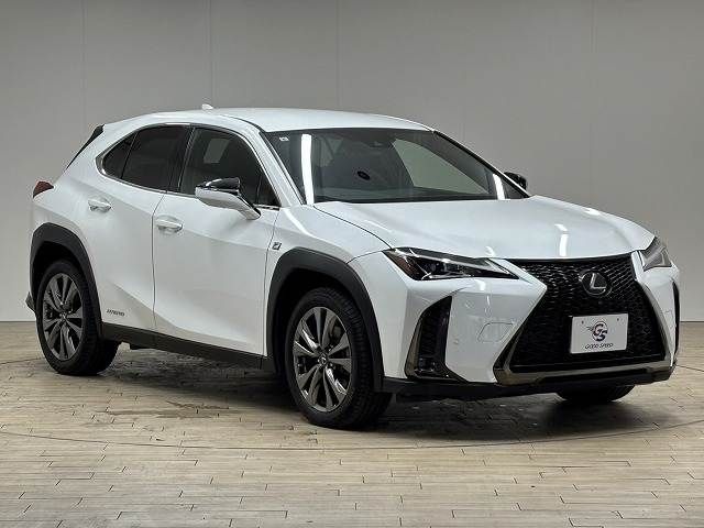 TOYOTA LEXUS UX250h 2019
