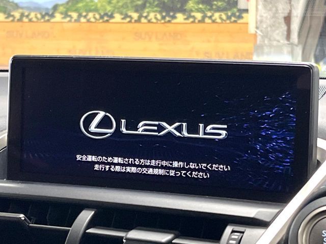 TOYOTA LEXUS NX300 2020