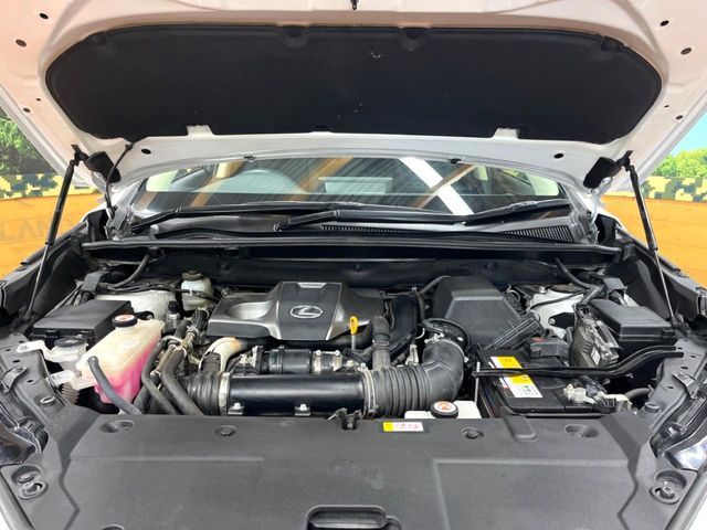 TOYOTA LEXUS NX300 2020