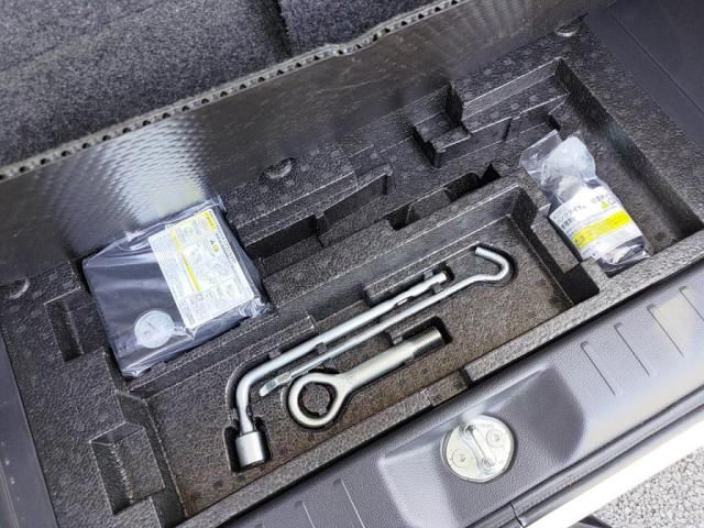 NISSAN DAYZ ROOX 2019