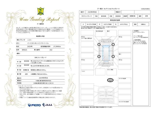 SUZUKI HUSTLER 4WD 2024