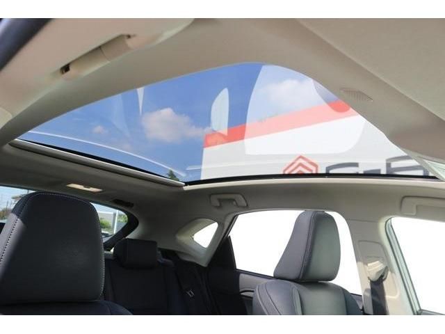 TOYOTA LEXUS NX300 2019