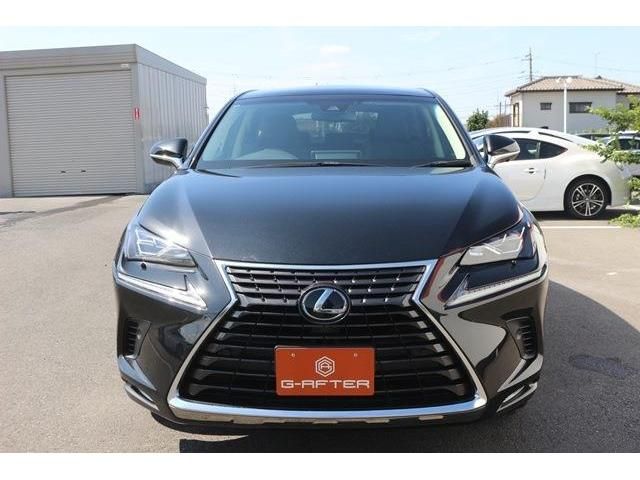 TOYOTA LEXUS NX300 2019