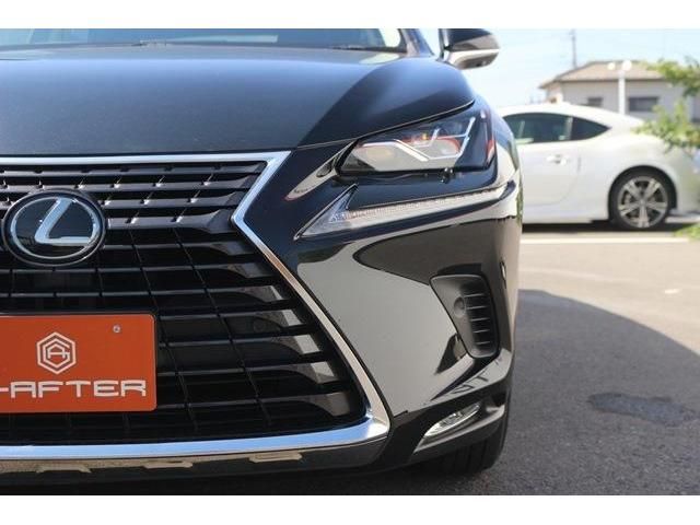 TOYOTA LEXUS NX300 2019