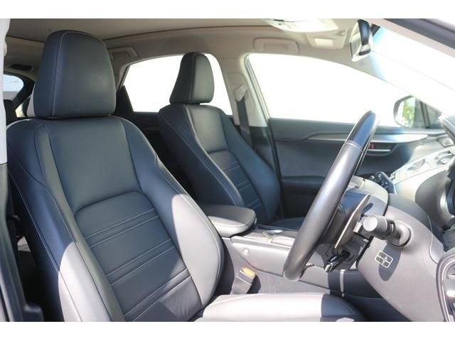 TOYOTA LEXUS NX300 2019