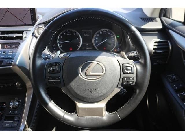 TOYOTA LEXUS NX300 2019