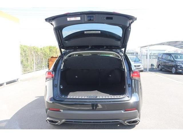 TOYOTA LEXUS NX300 2019