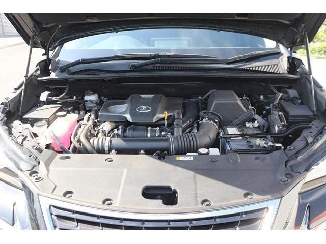 TOYOTA LEXUS NX300 2019