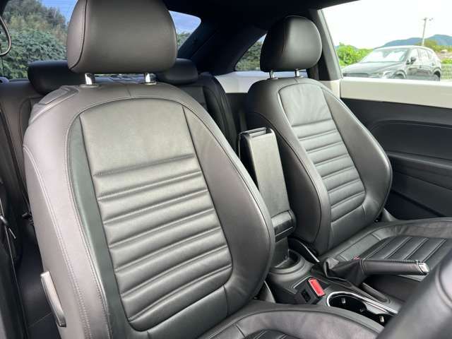 VOLKSWAGEN VOLKSWAGEN The BEETLE 2015