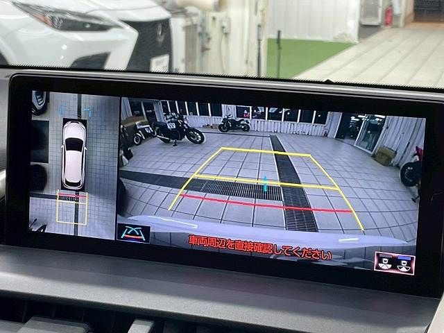 TOYOTA LEXUS NX300h 2020