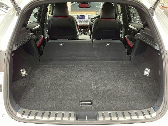 TOYOTA LEXUS NX300h 2020