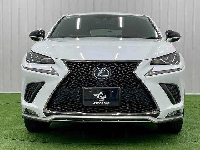 TOYOTA LEXUS NX300h 2020
