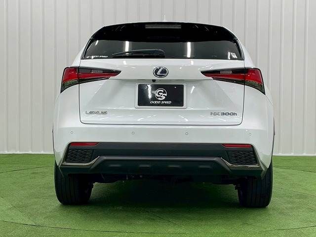 TOYOTA LEXUS NX300h 2020