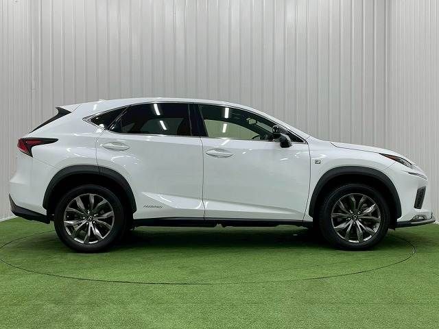 TOYOTA LEXUS NX300h 2020